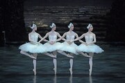 新国立劇場「白鳥の湖」2021年公演より。（撮影：鹿摩隆司）