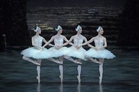 新国立劇場「白鳥の湖」2021年公演より。（撮影：鹿摩隆司）