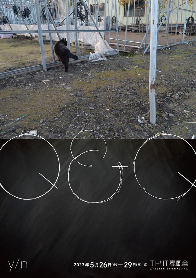 y/n「Q&Q」チラシ表