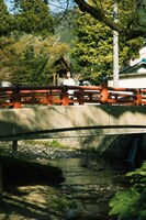 「新木宏典フォトブック『“新”発見 丹波ガイド』」（東京ニュース通信社）より。