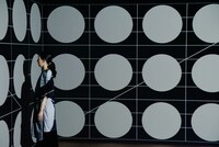 Murasaki Penguin（Photo by Manaho Kaneko）