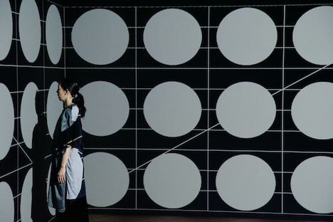 Murasaki Penguin(Photo by Manaho Kaneko)