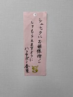 近藤春菜の短冊。