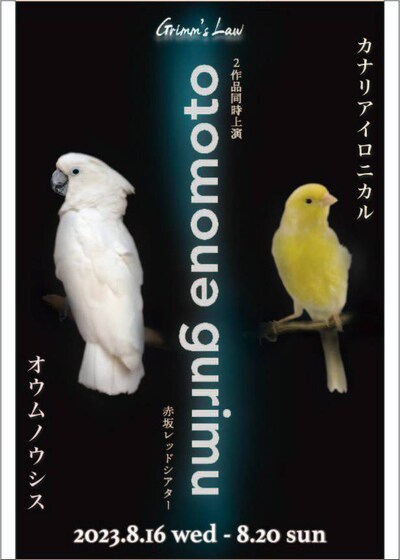 ぐりむの法則「オウムノウシス」「カナリアイロニカル」ビジュアル