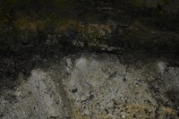 「ロッコクツアー」より。（撮影：須藤崇規）