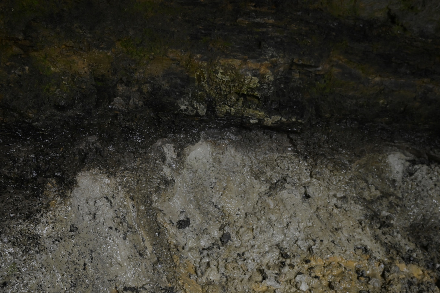 「ロッコクツアー」より。（撮影：須藤崇規）