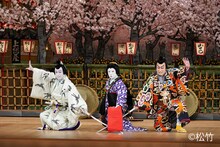 市川海老蔵改め十三代目市川團十郎白猿襲名披露 八代目市川新之助初舞台「九月博多座大歌舞伎」夜の部「鞘當」より。