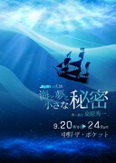 JAPLIN vol.18「海と夢と小さな秘密」チラシ表