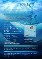 JAPLIN vol.18「海と夢と小さな秘密」チラシ裏