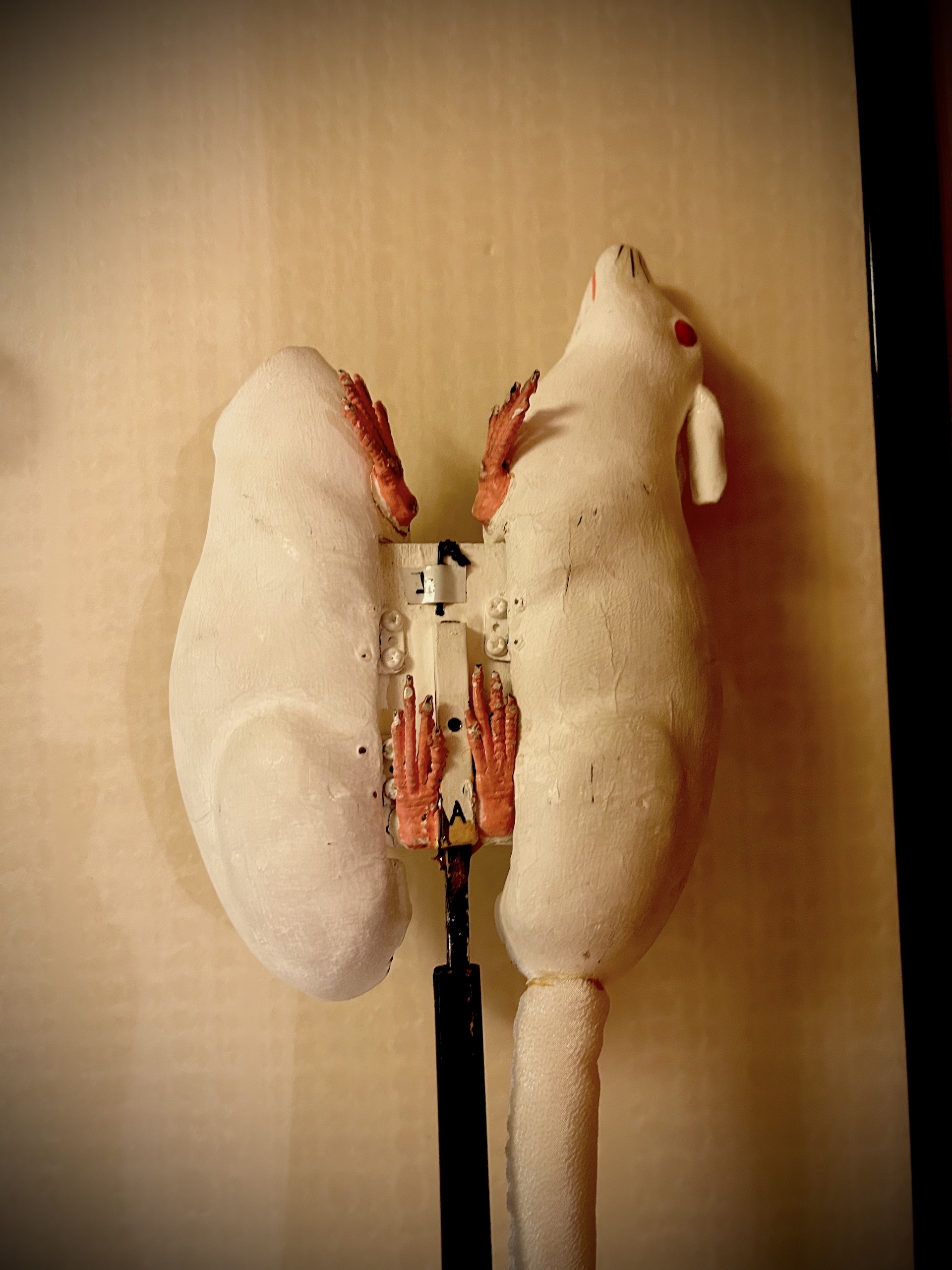 中村米吉、“可愛らしい生き物”とたわむれる | 中村米吉の＃カワイイは