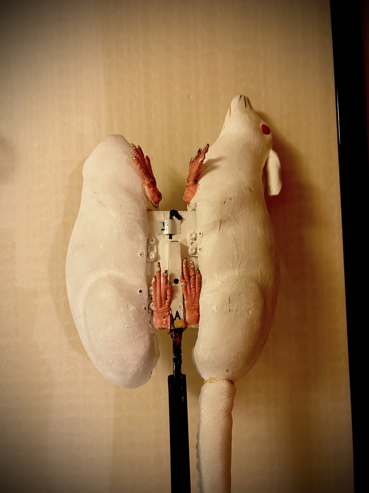 米吉の撮影スキルにより、物々しい雰囲気を醸し出すネズミ。