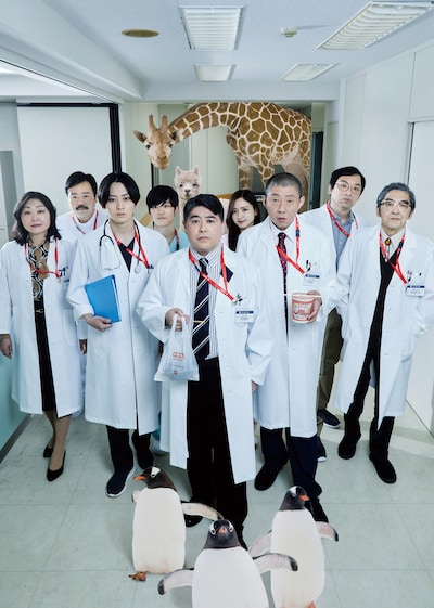 「ドクター皆川～手術成功5秒前～」ビジュアル