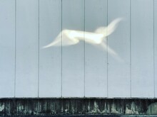 マームとジプシー「ニューホライズン 歴史から未来へ」ビジュアル