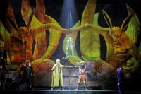 「ライブ・スペクタクル『NARUTO-ナルト-』～忍の生きる道～」より。