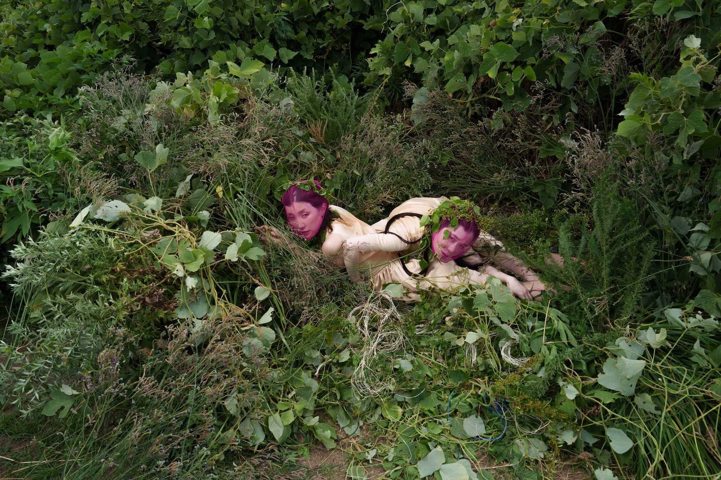 UNIca（ウニカ）「菓（か）」メインビジュアル