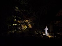 西本浩明「芋虫」19:00時開演回より。（撮影：松原豊）