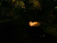 西本浩明「芋虫」19:00時開演回より。（撮影：松原豊）