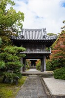 西本浩明「芋虫」の会場となった塔世山 四天王寺。（撮影：森井一鷹）