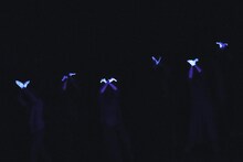 いいむろなおきマイムカンパニー「doubt -ダウト-」より。（撮影：堀川高志 / kutowans studio）