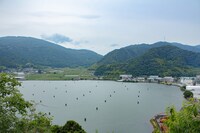 舞鶴の様子。（撮影：高田晴菜）