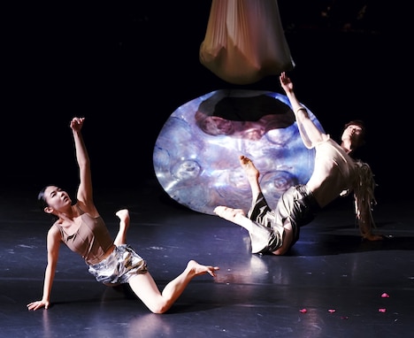 シアタートラム・ネクストジェネレーション vol.15 -フィジカル- room.Onaya Rion「Pupa」より。(撮影:大洞博靖)