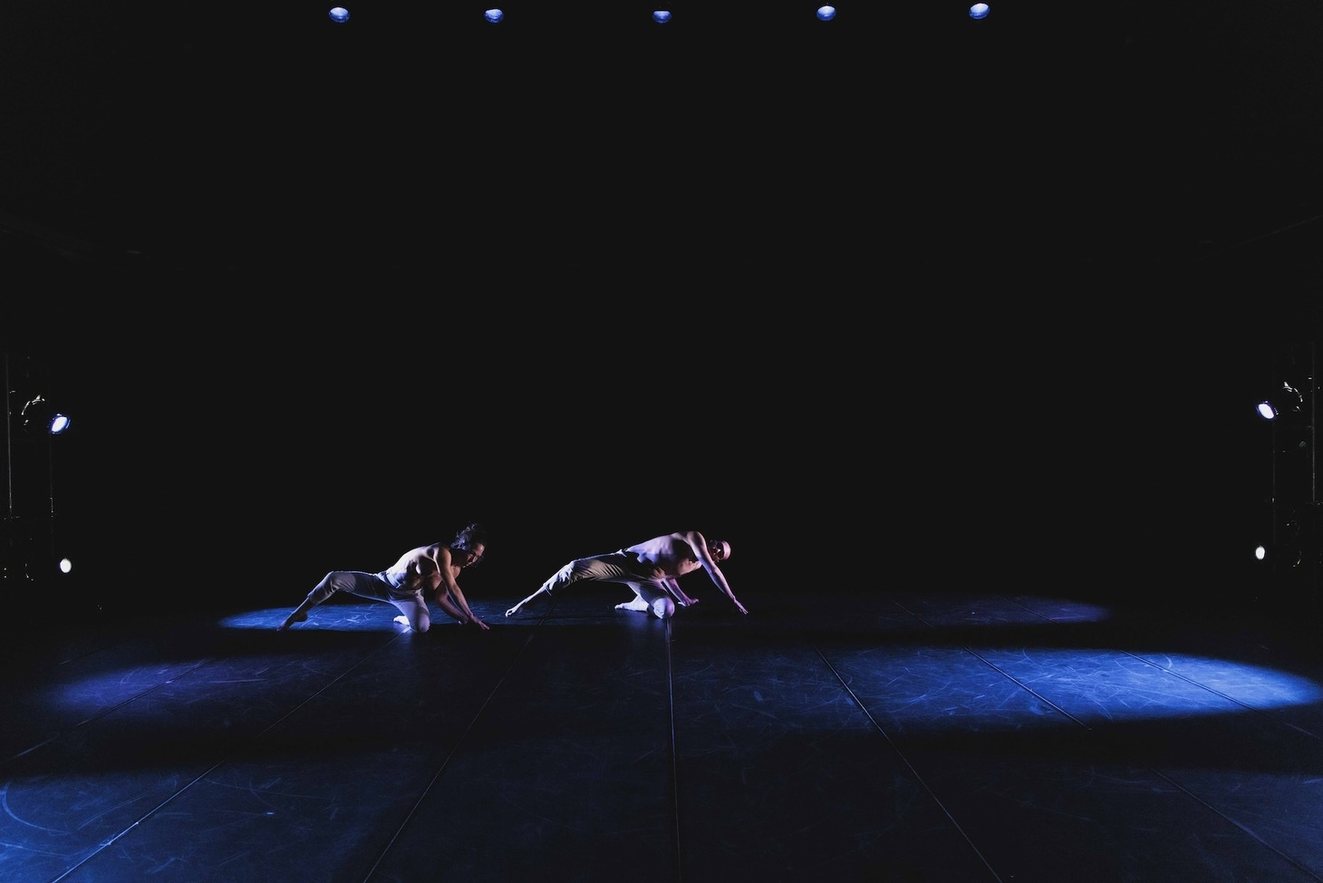 パロマ・ウルタード＋ダニエル・モラレス「INA.0」より。（Photo by Maegawa Toshiyuki）