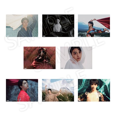 「新原泰佑 2024.4-2025.3 calendar」アザーカットを使用した8種のランダムフォト。