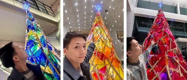 どどどん！と、色合いがカワイイツリー3種。