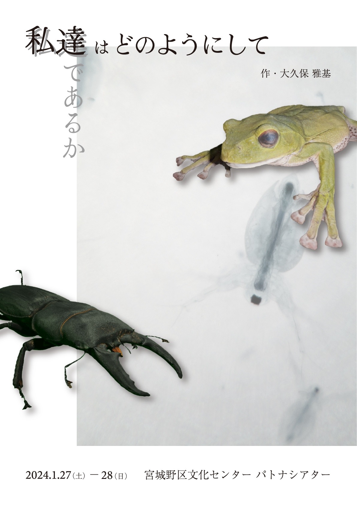 「私達はどのようにして私達であるか」チラシ表