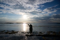 映画「舞倒れ」より。