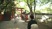 BS日テレ「世界文化遺産 下鴨神社～神の紡ぎ出す声の世界～」より。