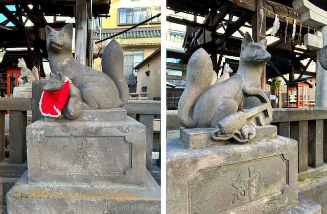 被官稲荷神社を鳥居の外からりりしく守っている、お狐様たち。小さな子狐には、朱色の前掛けが。