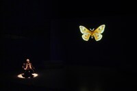 ティーファクトリー / 公益財団法人武蔵野文化生涯学習事業団提携公演「ヘルマン」より。（撮影：間野真由美）