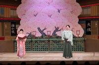 「Night KABUKI in Osaka Dotonbori」の「歌舞伎のみかた」より。