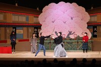 Night KABUKI in Osaka Dotonbori」の「歌舞伎のみかた」より。