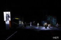 「『江戸宵闇妖鉤爪』明智小五郎と人間豹 市川染五郎大凧にて宙乗り相勤め申し候」より。