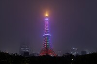 黒・柿色・萌葱の定式幕色に染まった東京タワー。