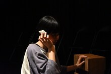 藤家と南風盛と中條「蝶のやうな私の郷愁」より。