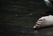 藤家と南風盛と中條「蝶のやうな私の郷愁」より。