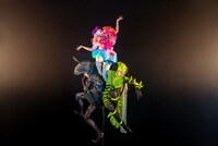 「アリとキリギリスと」のビジュアル。（撮影：Charlie Sugano）