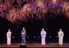 藤あや子・姿月あさと・浅香唯・三倉茉奈が歌声を披露「花盛り四人姉妹」が幕開け