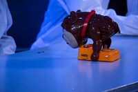 猿博打特別公演第3弾「まじめにきまじめ」より。