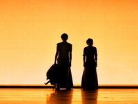 「メディア / イアソン」より。（撮影：細野晋司）