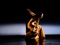 「メディア / イアソン」より。（撮影：細野晋司）