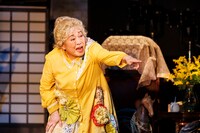 「さるすべり」より。（撮影：加藤春日）