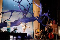 「さるすべり」より。（撮影：加藤春日）