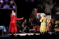 「さるすべり」より。（撮影：加藤春日）