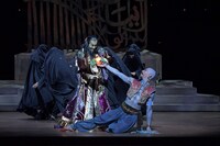 新国立劇場バレエ団「アラジン」2019年公演より。（撮影：鹿摩隆司）