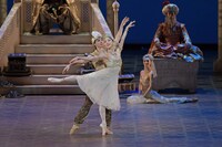 新国立劇場バレエ団「アラジン」2019年公演より。（撮影：鹿摩隆司）