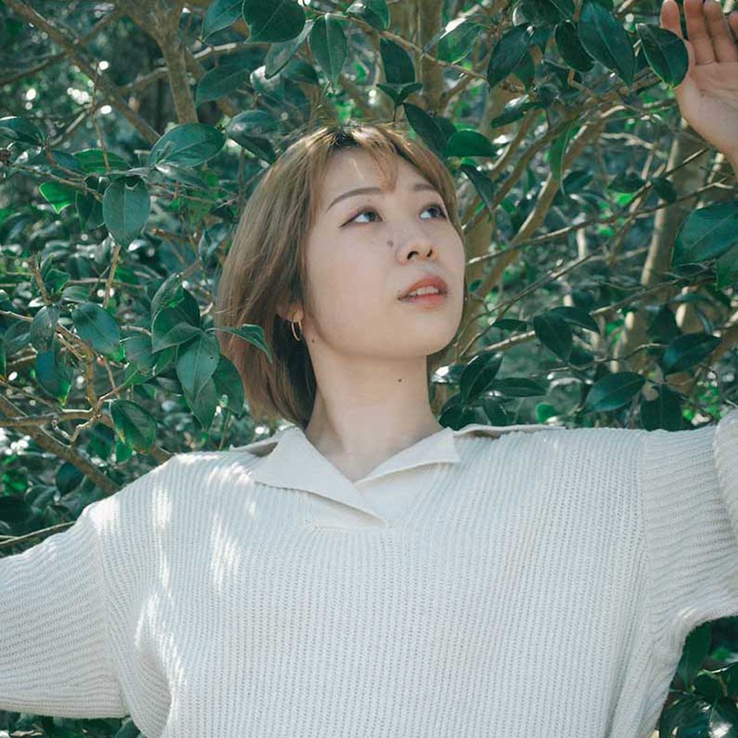 豊田ゆり佳